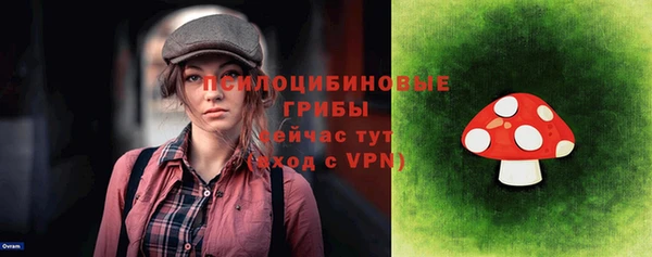 крисы Волоколамск