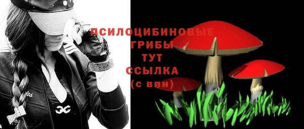 крисы Волоколамск