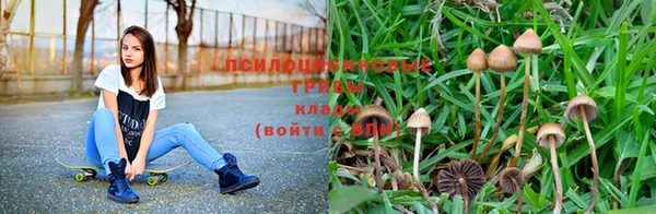 крисы Волоколамск