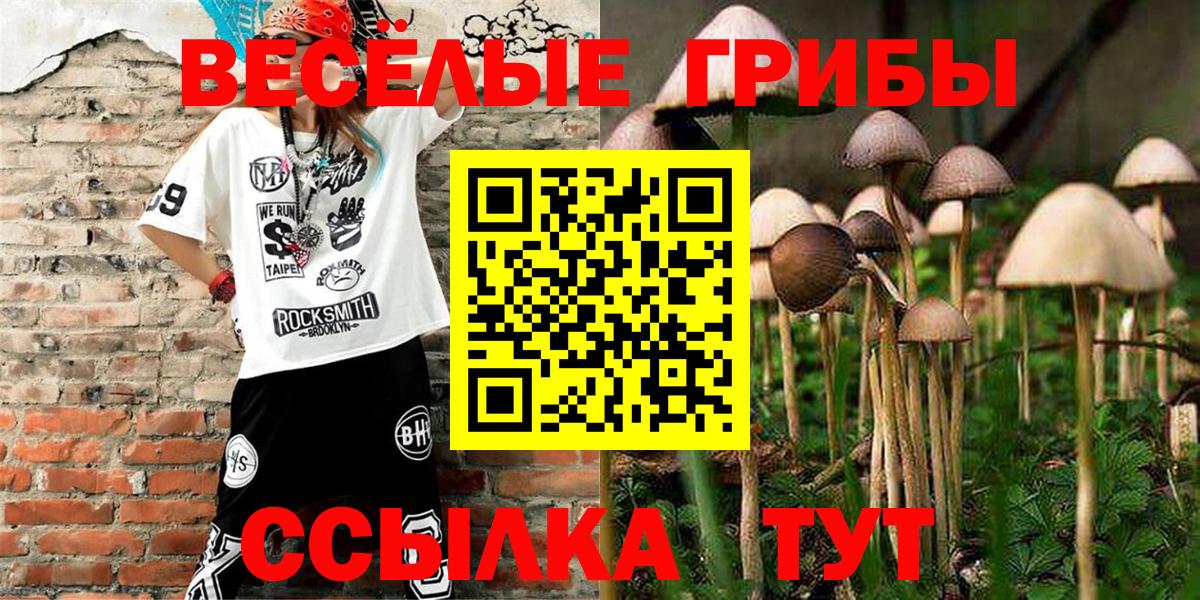 Псилоцибиновые грибы Cubensis Грозный
